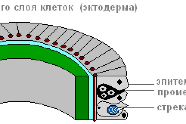 Кракен маркетплейс телеграм