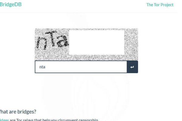 Kraken зеркала kr2web in