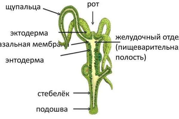 Кракен даркнет kraken link24 info